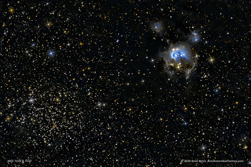 NGC 7129 & 7142